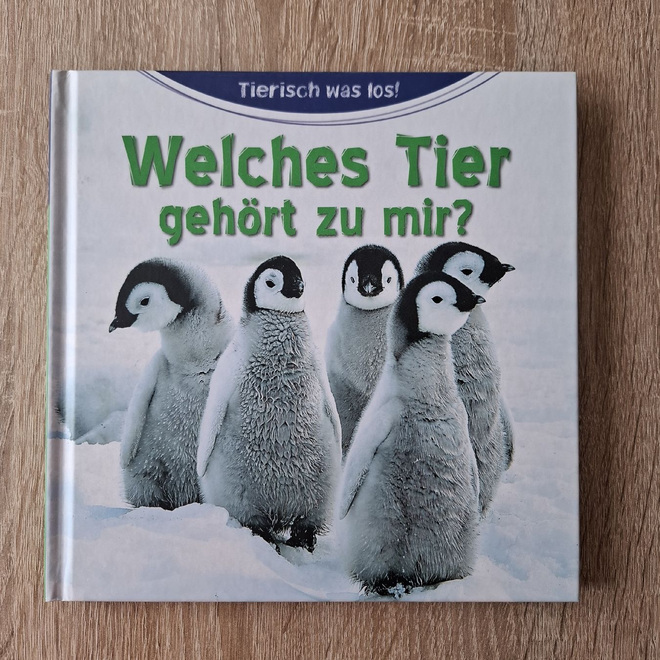 Libri: 6 Kinderbücher "Welches Tier..." – Nuovo (secondo la descrizione) da Hägglingen venduto da Pilipadin 6