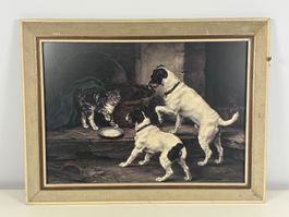Gerahmtes Bild Hunde & Katze 66x50cm