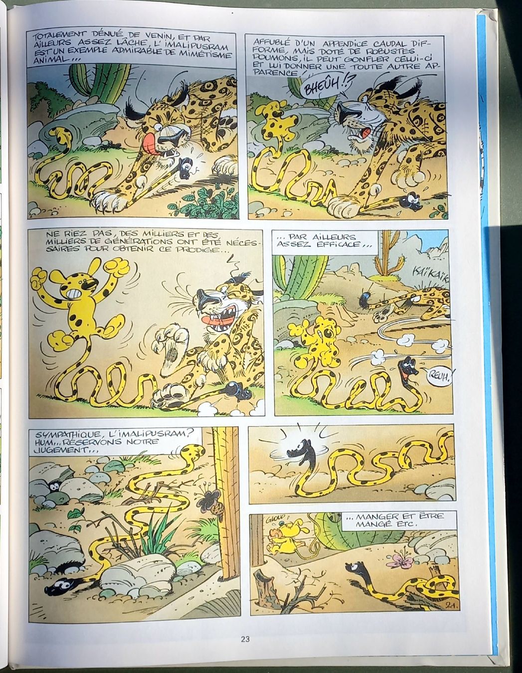 Fumetti: BD Comic - Marsupilami 4 - Le pollen du Monte Urticando – Usato da Niederuzwil venduto da lubimaja 3