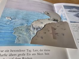 de Beer Kleiner Eisbär wo fährst du? pop-up Buch