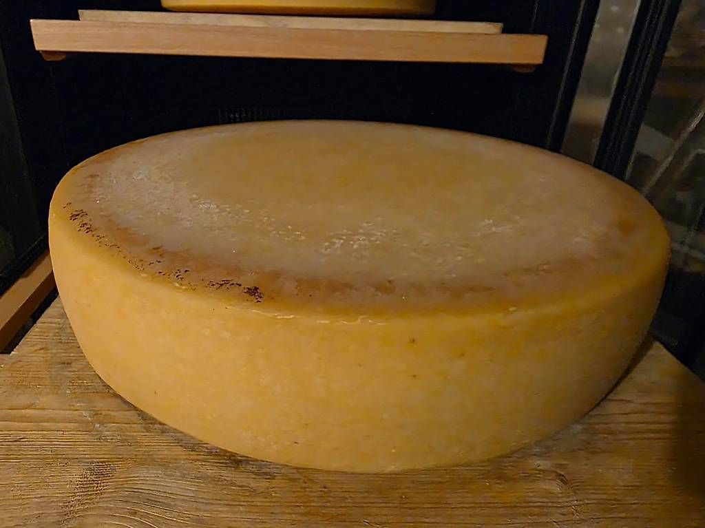 Cibi & Specialità: Alpkäse 2025 – Nuovo (secondo la descrizione) da Uttigen venduto da martin.pluess 1