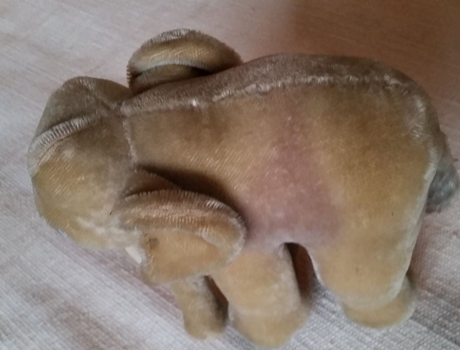 Steiff Giocattoli: Steiff Elefant antik, 23cm – Usato da Herrliberg venduto da AlexandraBopp 3