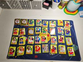 Panini Bilder WM 2026
