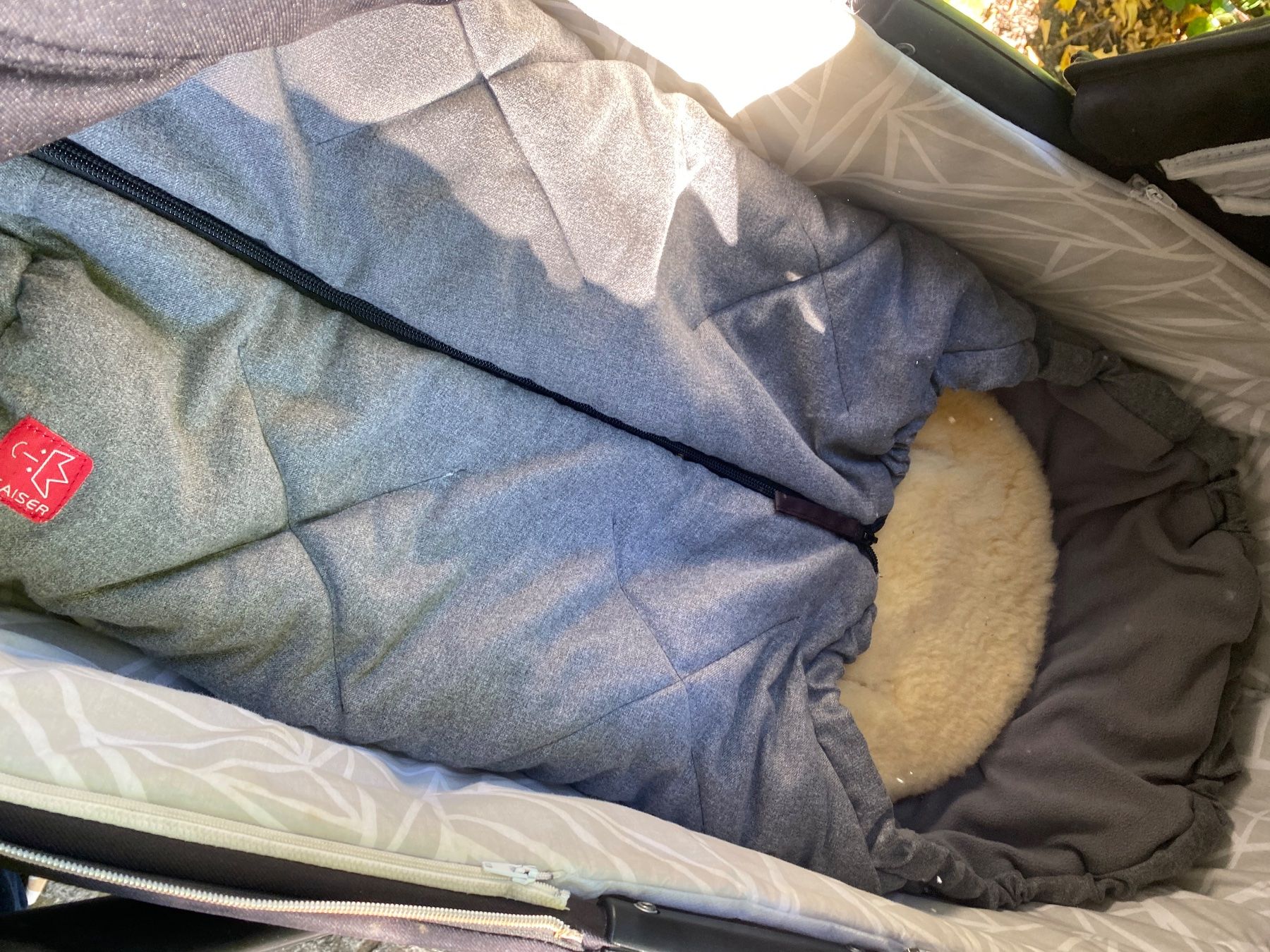 Carrozzine: My Junior Kinderwagen – Usato da St.Gallen venduto da vio_ctz6 5