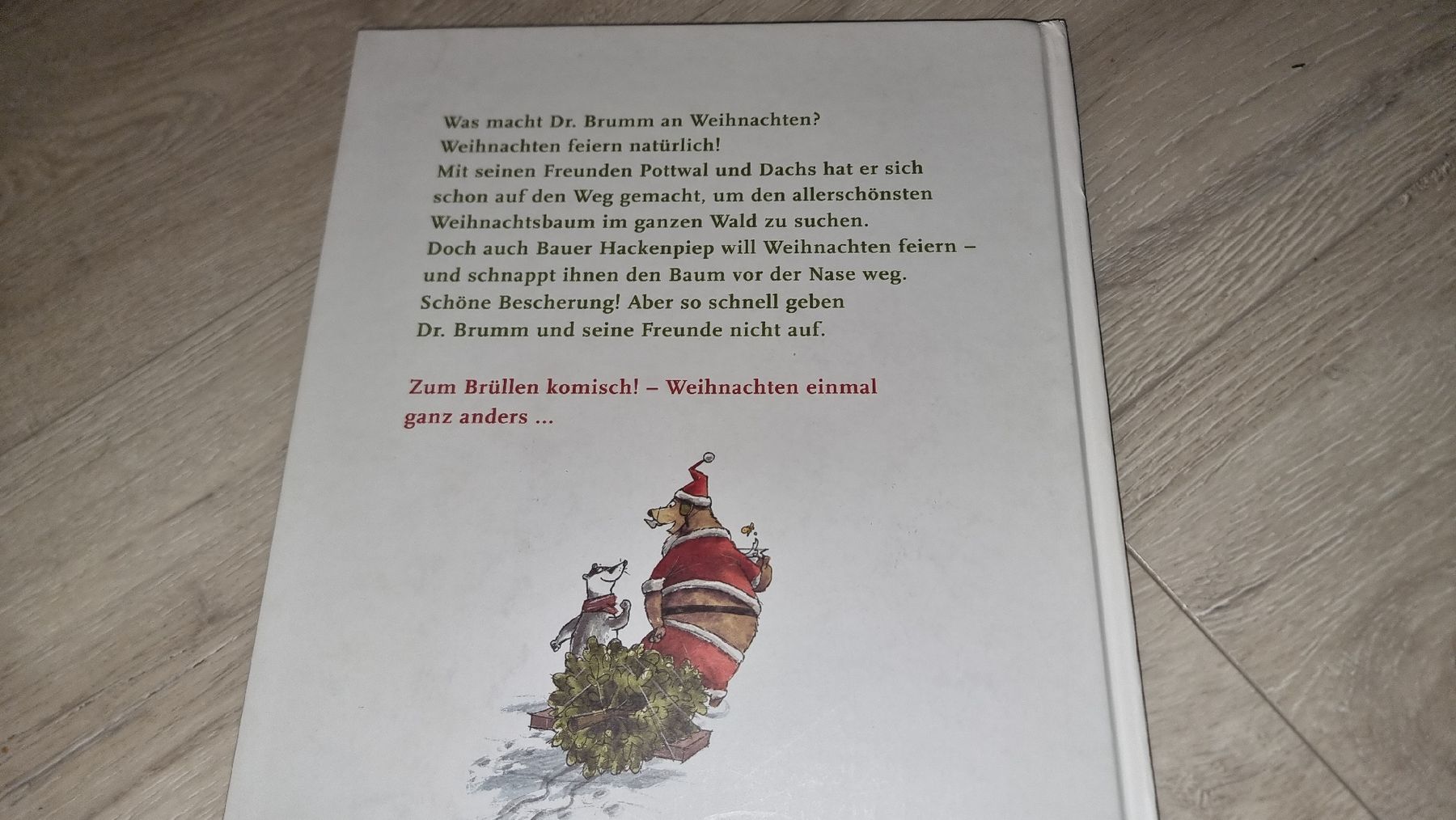 Libri: Dr. Brumm feiert Weihnachten, Kinderbuch gross format  – Usato da Wigoltingen venduto da Zuckerfee84 1
