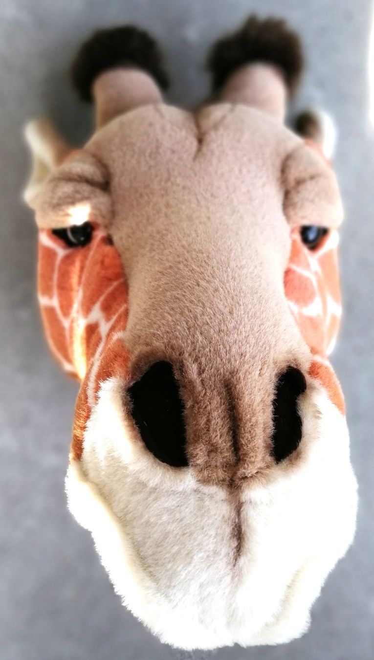 Tutte le decorazioni: Süssi Giraffe / Plüschtier - Wanddeko – Usato da Schaffhausen venduto da Domifran 2