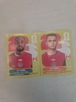 Panini Sticker WM CAN 19, CAN 16