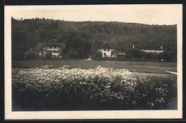 AK Oftringen, Blick nach Bad Lauterbach