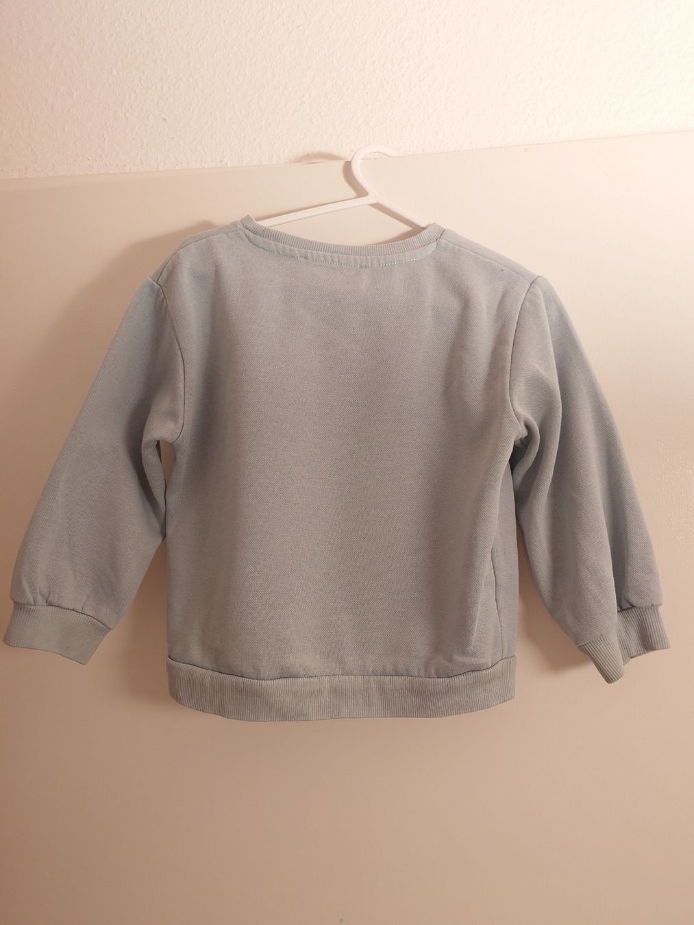 Pulls et sweat-shirts: Mädchen Pullover hellblau, Grösse 104 – D'occasion à Uster par snowy_6 1