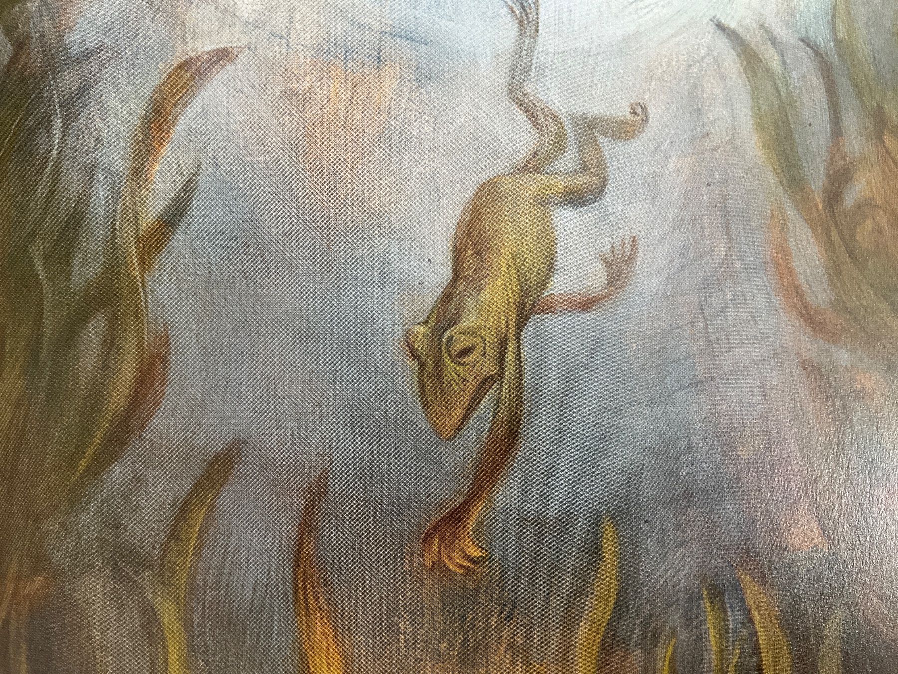 Libri: Der Froschhönig Brüder Grimm – Usato da Avenches venduto da Lactobacille 3