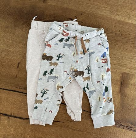 Trainerhose, Jogginghose