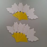 50 Trauermückenfallen | Gelbtafeln | Klebefallen