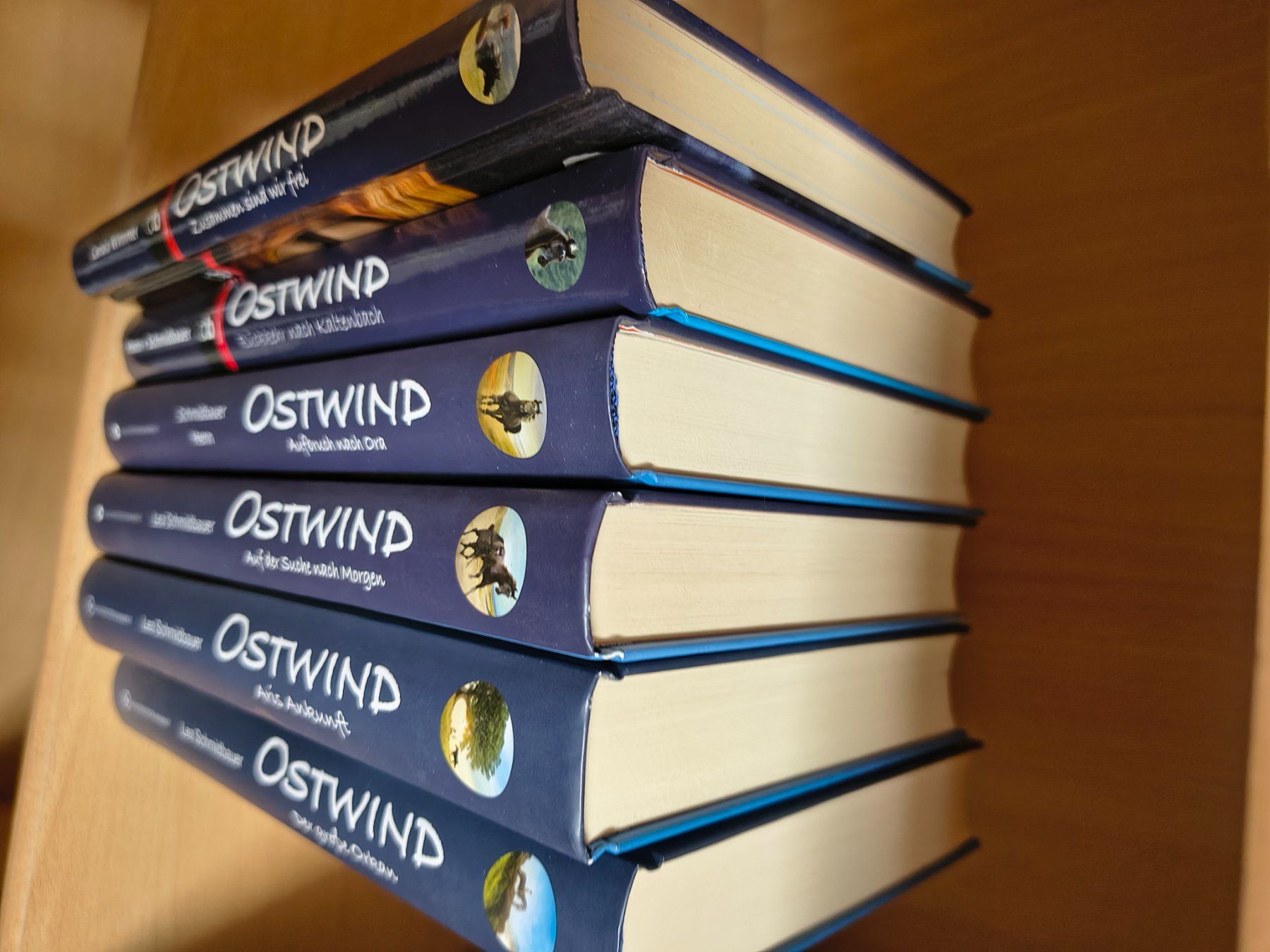 Libri: Ostwind Band 1-6 – Usato da Binz venduto da Shizuka01 1