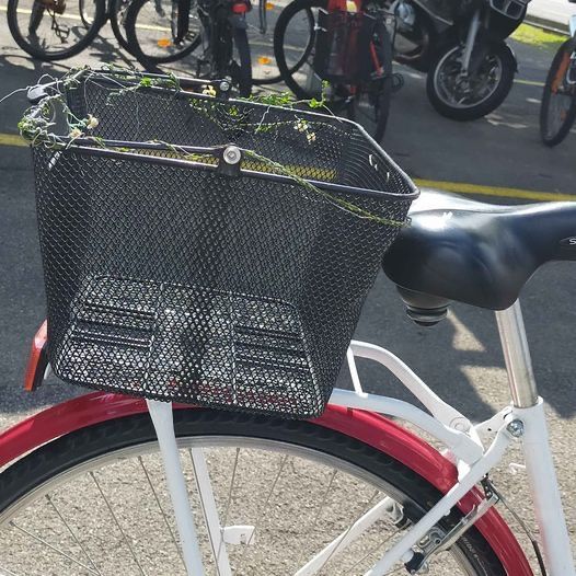 Biciclette: Kristall Damenvelo City – Usato da Meierskappel venduto da DayaMaya 8