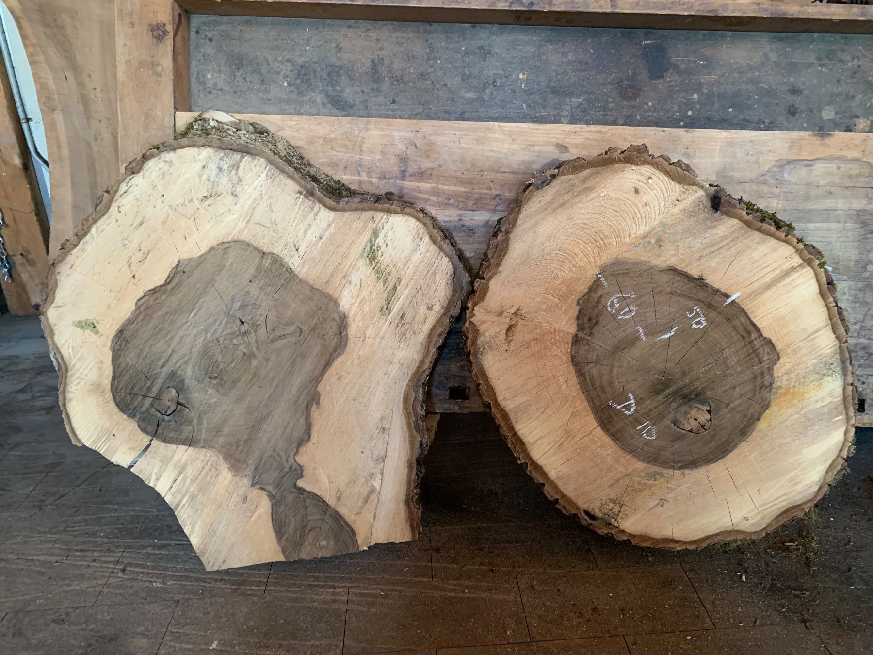 Articoli in legno: 2 Stk Baumscheibe Nussbaum / Holzscheibe – Usato da Seedorf UR venduto da Lochy