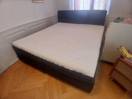 Boxspringbett Jensen Diplomat 180x200