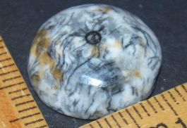 Cabochon L-769 – Orthoceras Fossil