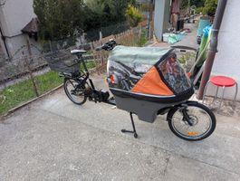 Velo cargo / poussette Wike Salamander