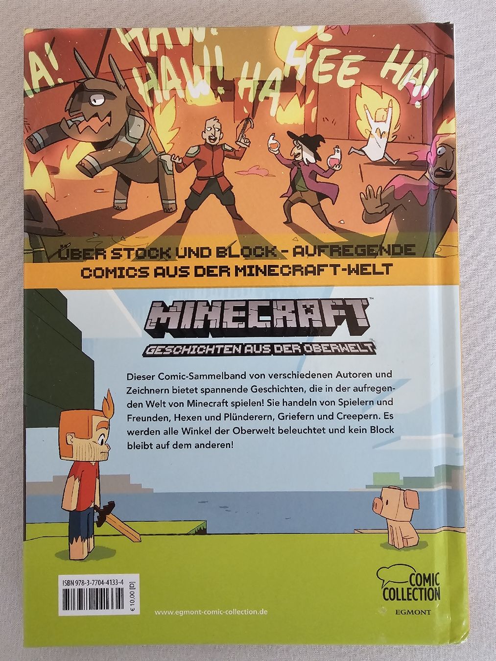 BD: Minecraft Comic - Geschichten aus der Oberwelt – Neuf (Voir description) à Bütschwil par Taranabo 3