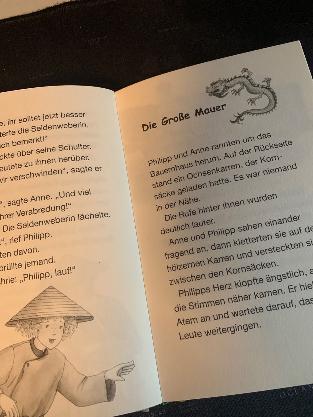 Bücher: Das magische Baumhaus – Gebraucht aus Innertkirchen von mnk_ph2y 2