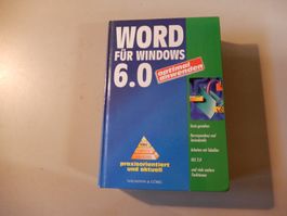 Word für Windows 6.0 Buch, optimal anwenden