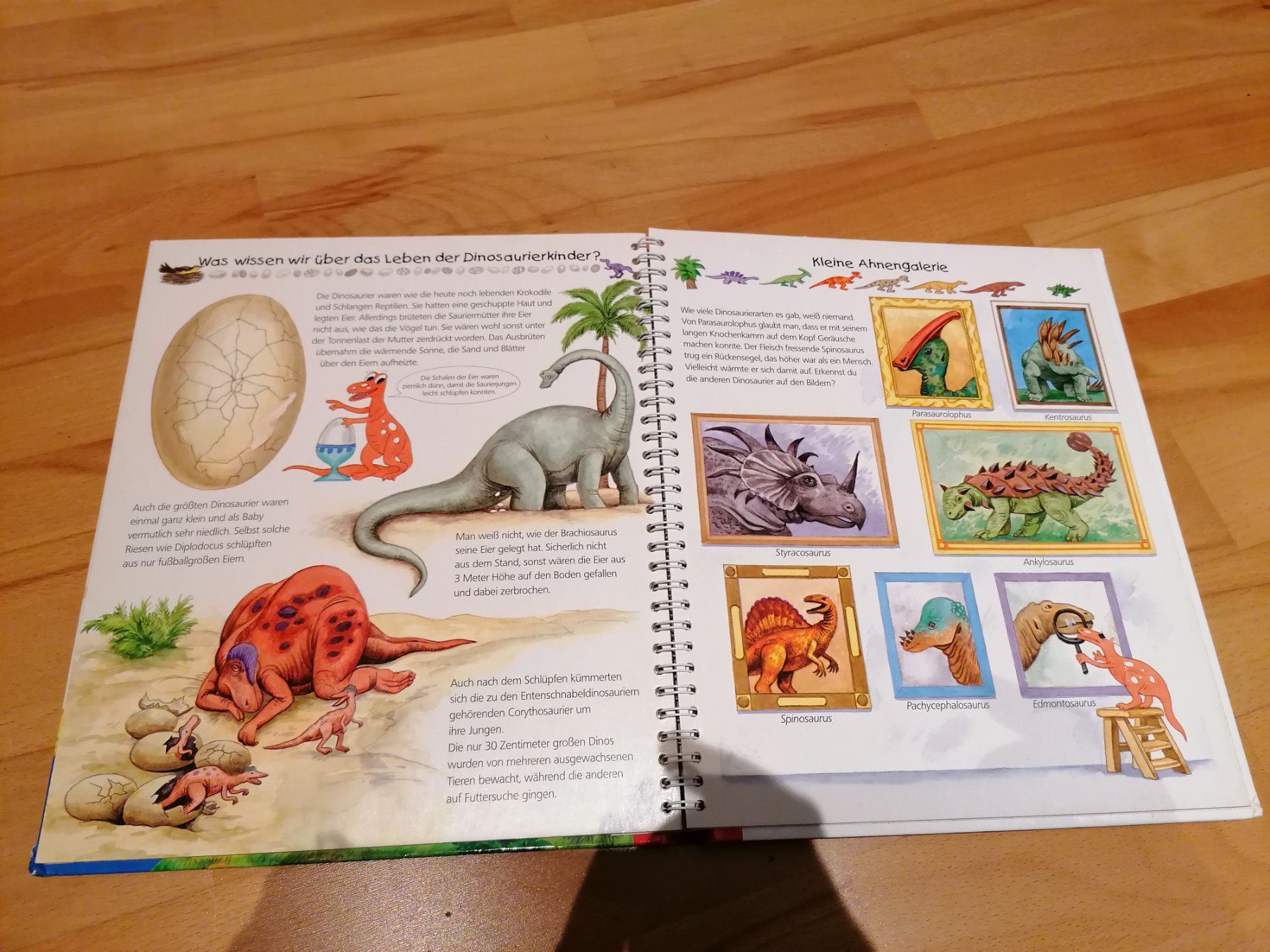 Bücher: Wieso Weshalb Warum Dinosaurier – Gebraucht aus Büttikon AG von Amineah 3