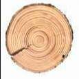 Profile image of meyerdendro
