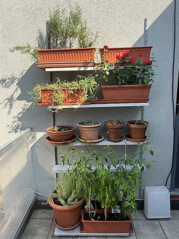 Scaffali: Scaffali usati. – Usato da Lugano venduto da egi_zk9d 4