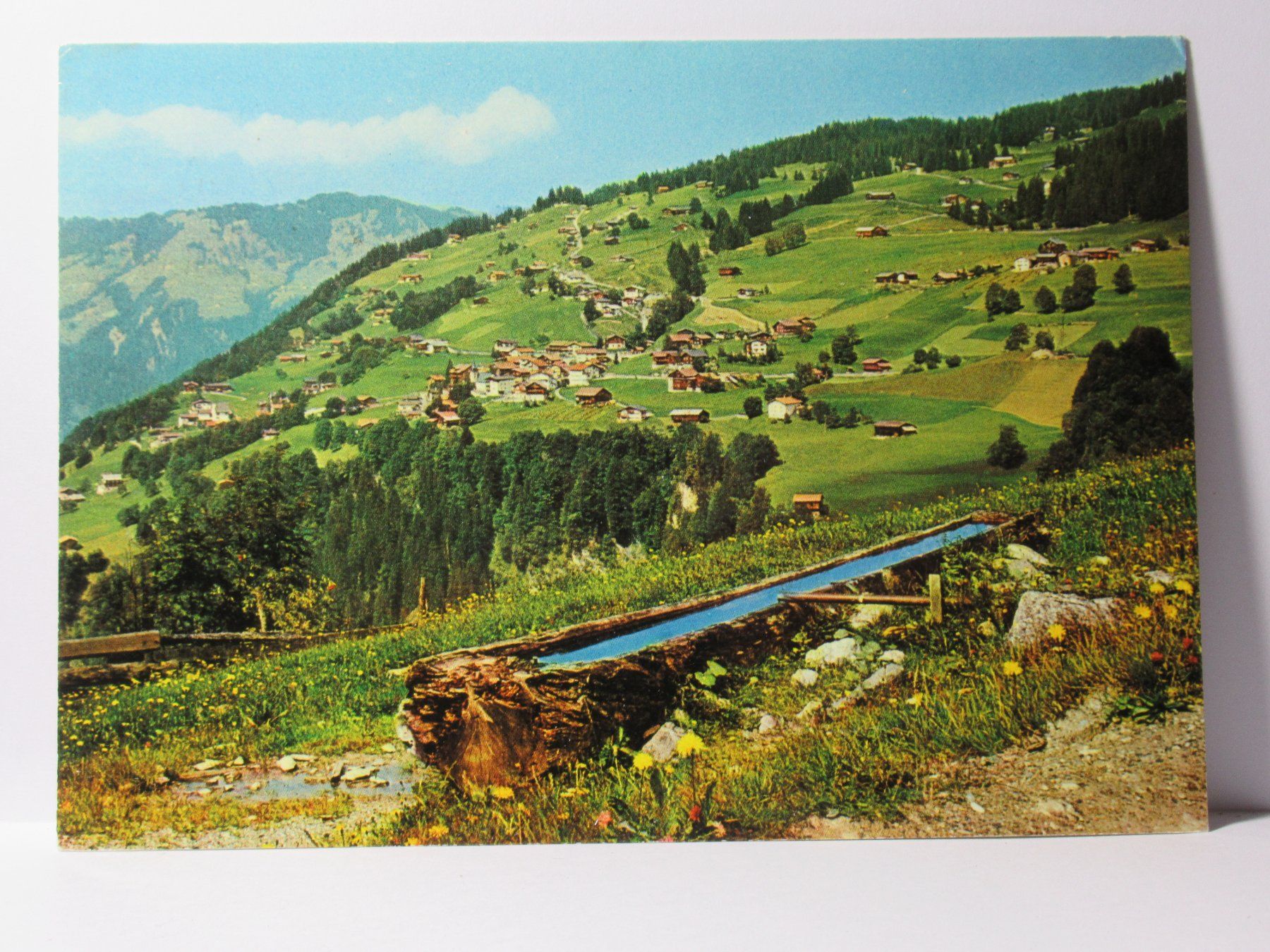 Cartoline postali: Pany 1978 – Usato da Grenchen venduto da Bluemchen1900