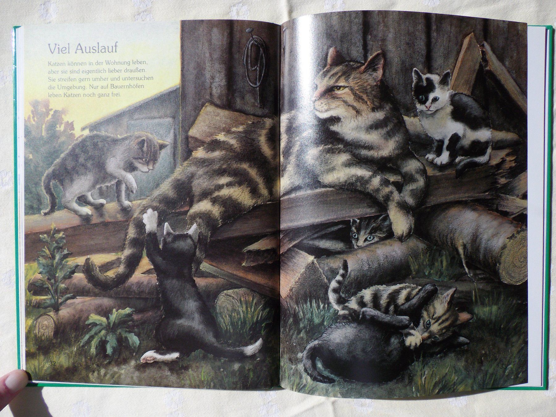 Libri: Tiere im Haus – Usato da Uster venduto da urs_75by 6