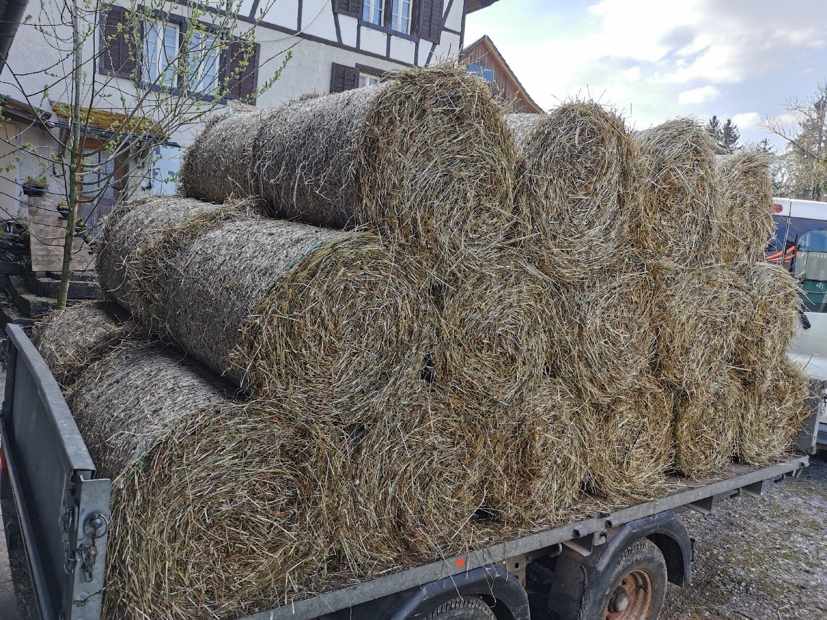 Futter: Heu kleine Rundballen – Neu (gemäss Beschreibung) aus Grüningen von  1