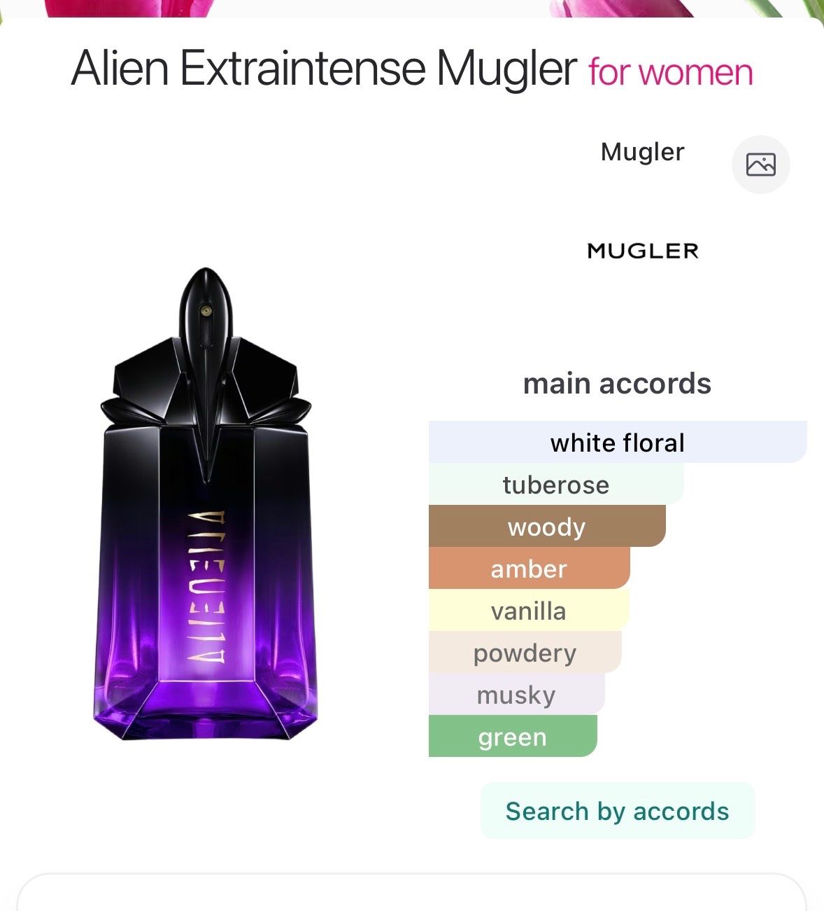 Mugler Parfum & Eau de Toilette: Mugler Alien Extraintense EDP Duftprobe 2ML – Gebraucht aus Zürich von deruja 3