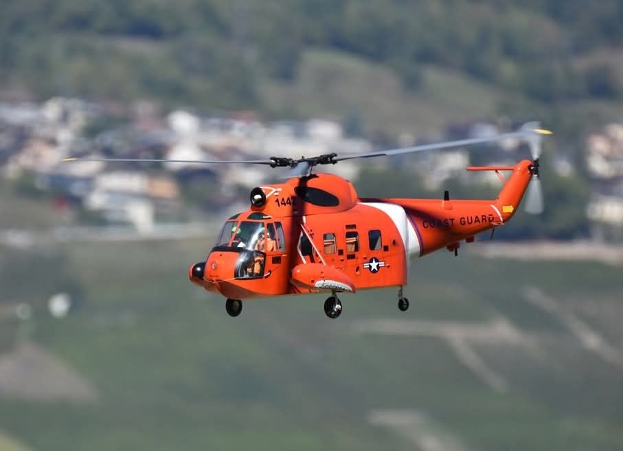 RC Modellbau: Sikorsky HH-52 "SeaGuard" – Gebraucht aus Oron-la-Ville von Nick81
