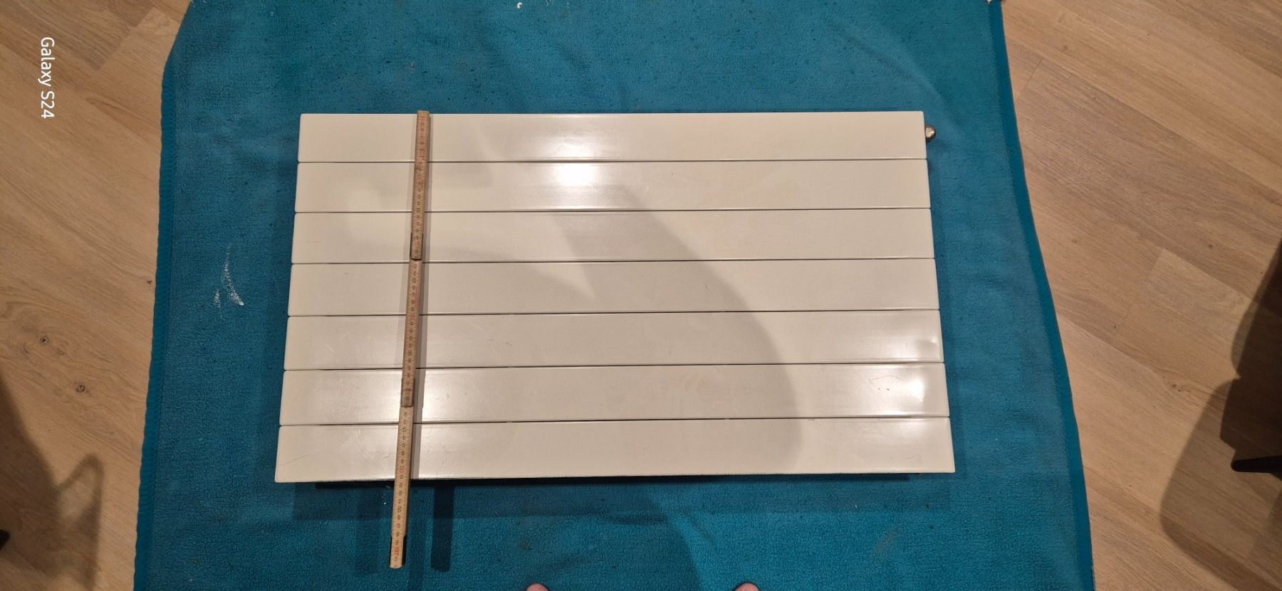Radiatori: Radiator – Usato da Wilen b. Wil venduto da Forelle-TG 1
