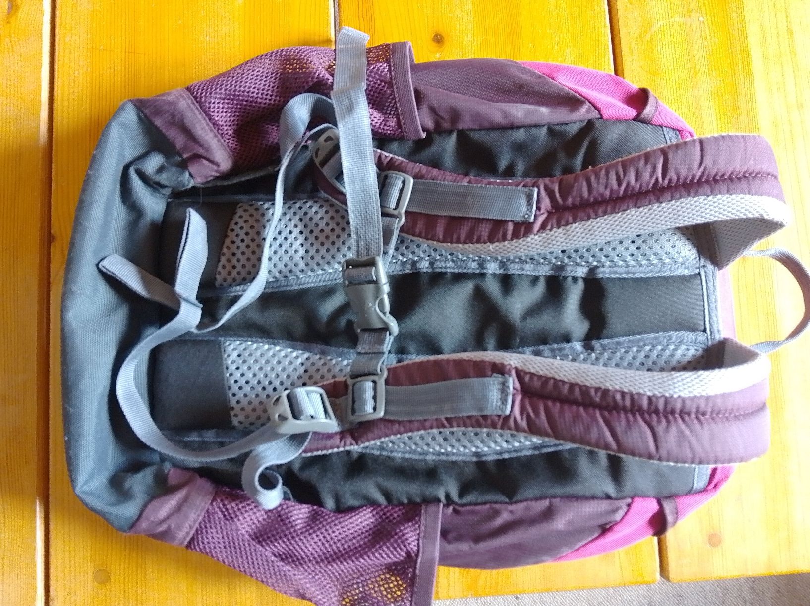 Deuter Borse & Zaini: Kinder Rucksack Deuter Mädchen – Usato da Rigi Kaltbad venduto da san_rxc2 1