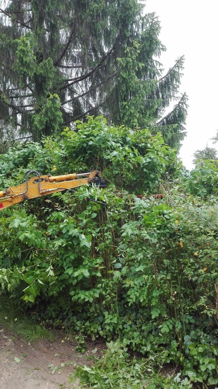 Tutti gli attrezzi: Astschere hydraulisch – Nuovo e nell'imballaggio originale da Kastanienbaum venduto da acapulco 3