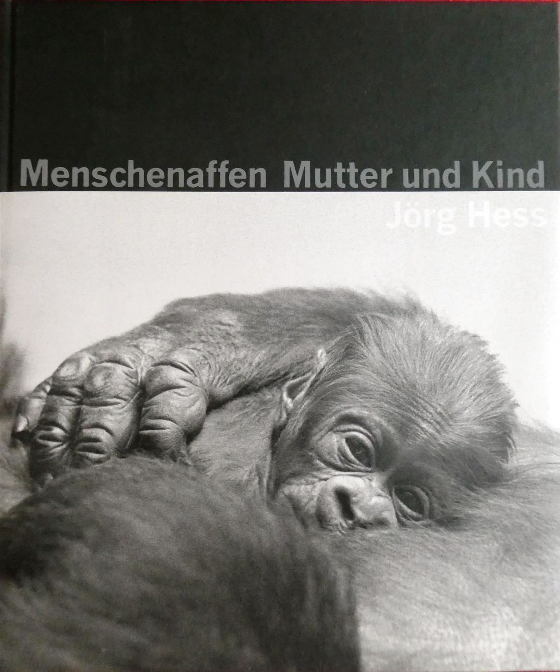 Libri: Menschenaffen, Mutter und Kind, Bildband / NEU – Nuovo e nell'imballaggio originale da Watt venduto da Mandinka