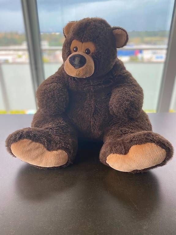 Jouets: Grosser Plüschbär / Teddybär – D'occasion à Buchrain par nic_9k5l