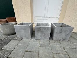 Pôts de plantes en terracotta, terre cuîte et brique
