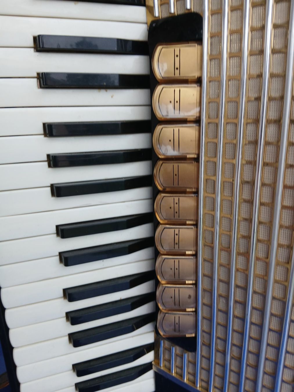 Hohner Strumenti musicali: Hohner VERDI   II  M – Usato da St.Gallen venduto da esdb 1