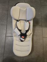 Babyeinsatz für Hamax Veloanhänger 