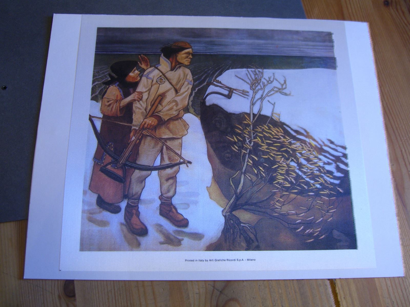 Foto & Immagini: 3 wunderschöne Seidendrucke gerahmt – Usato da Winterthur venduto da Gaia 5