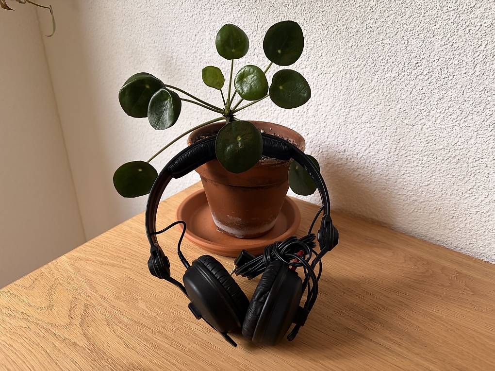 Casques audio: Sennheiser HD 25 DJ-Kopfhörer – D'occasion à Winterthur par sto_n6lj 1