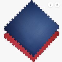 Bodenmatten/Kampfsportmatten/Puzzlematte blau/rot 100x100x2