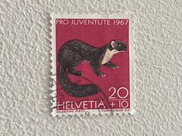 Schweiz Briefmarke