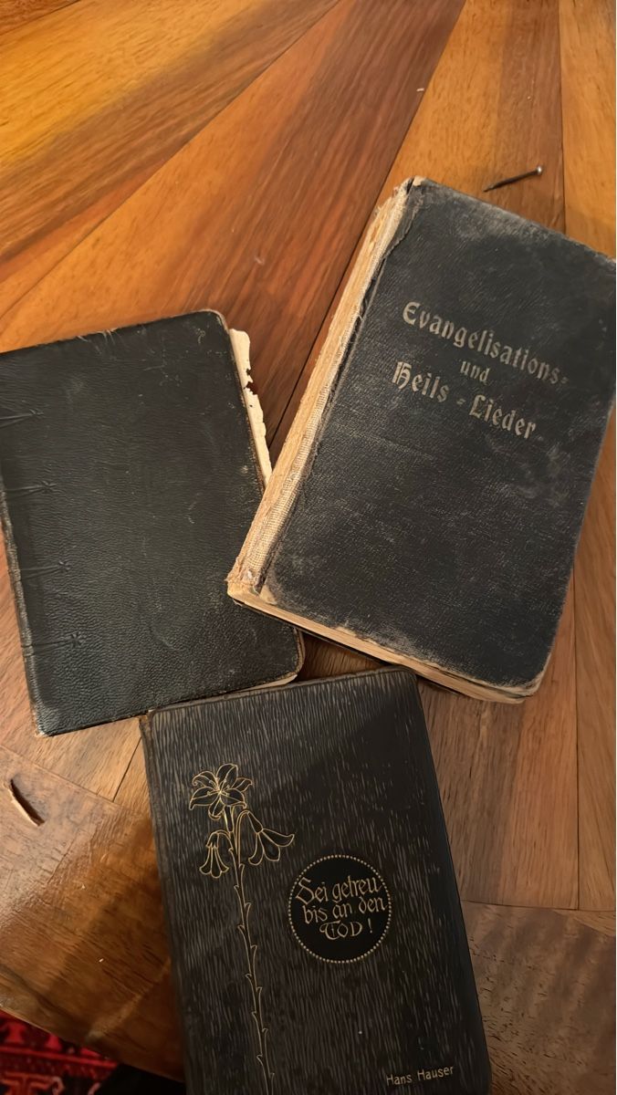 Bücher: Evangelisations- und Heils-Liederbuch – Gebraucht aus Walliswil b.Wangen von CharlotteGarde