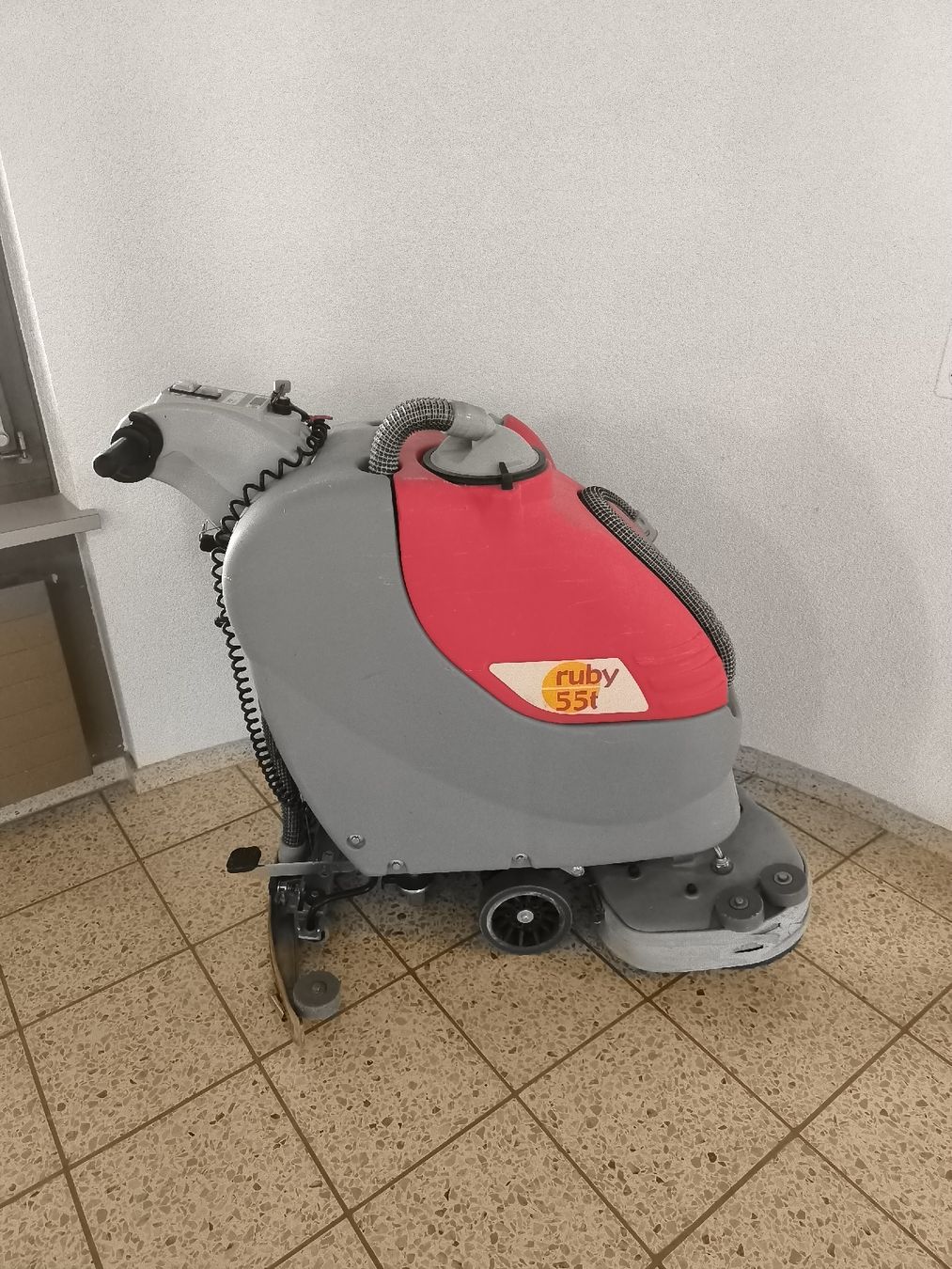 Tutte le macchine: Scheuersau Maschine Ruby 55t – Usato da Bretzwil venduto da N-Bahner