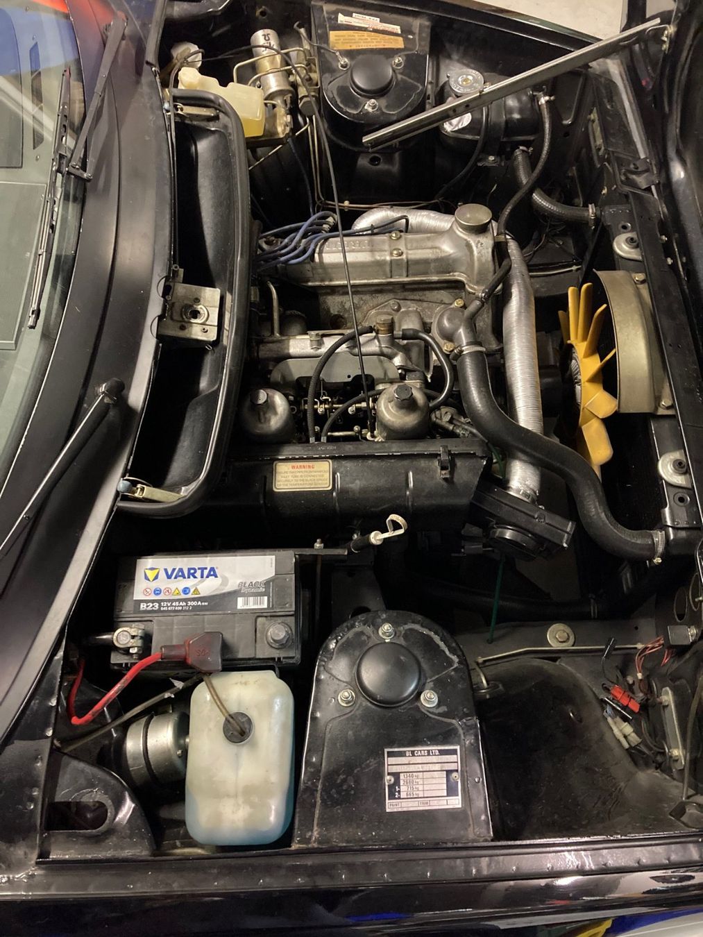 Triumph Automobili: Triumph TR7 Veteranenfahrzeug – Usato da Zielebach venduto da ZIGER02 5