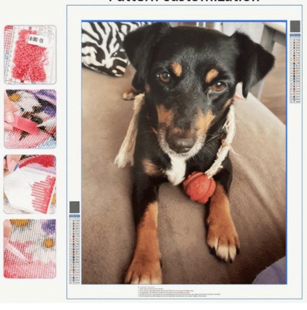 Bastelsets: Diamond Painting Hund Bella – Neu und originalverpackt aus Obergösgen von Diydiamant 1
