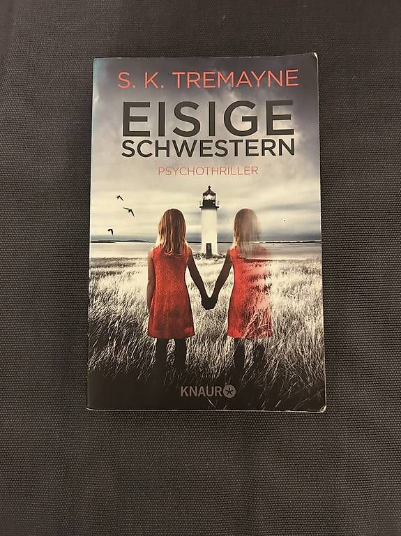Libri: Psychothriller Eisige Schwestern  – Usato da Riniken venduto da sel_p98d